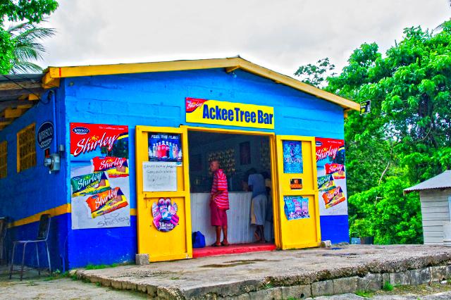 ackee tree bar Boarded Hall Barbados